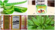 Tradisyonal na gamot para sa paggamot ng kagat ng lamok