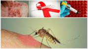 AIDS at lamok