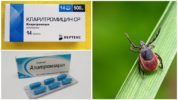 Antibiòtics després d’una picada de garrapates