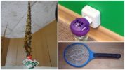 Metodi di controllo degli insetti