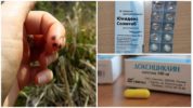 Doxiciclina per a la prevenció de picades de paparres
