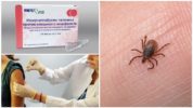 Door teken overgedragen encefalitis immunoglobuline