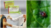 Het gebruik van het vaccin Tick-E-Wak