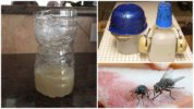 Mga Trap na Lumipad sa Trabaho ng lutong bahay