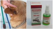 Fluer til hunde