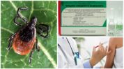 Vaccine-båret encephalitis-vaccine