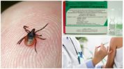 Pag-iwas sa impeksyon sa encephalitis