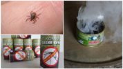Usok ng bomba mula sa ticks