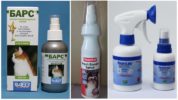 Atzīmējiet aerosolu