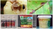 Mga pamamaraan ng kemikal para sa pagkasira ng mga track