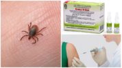 Teken-E-Wak-vaccin