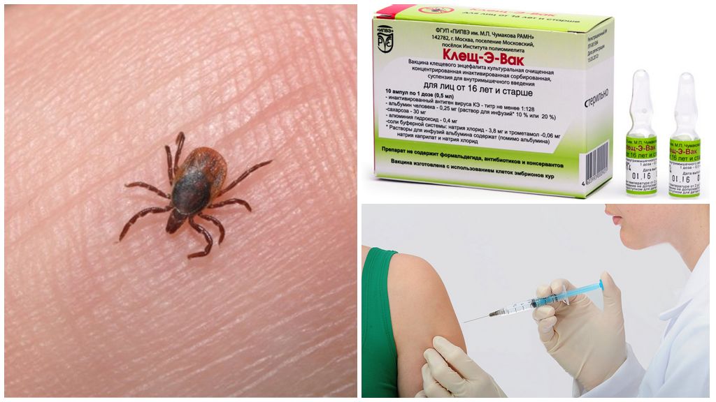 Brugsanvisning til vaccinen Tick-E-Wak