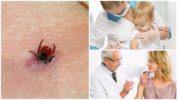 Vaccination af børn og voksne