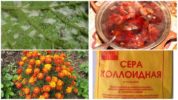 Metodi tradizionali di lotta agli acari d'uva