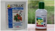 Prodotti chimici per zecche d'uva