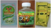 Mga produktong biolohiko para sa paglaban sa mga spider mites
