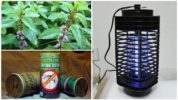 Iba't ibang paraan upang makontrol ang mga insekto