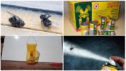 Bekæmpelse af fluer i stuen