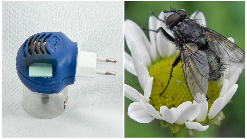 Fumigatori no mušām un odiem līdz izvadei