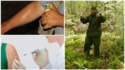 Prevenció de picades de tick