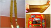 Malagkit na tape para sa mga langaw