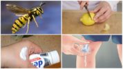Mga remedyo ng katutubong para sa kagat ng insekto