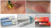 Antiallergiset voiteet ampiaispistoille