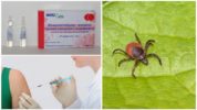 Punkki-enkefaliitin immunoglobuliini