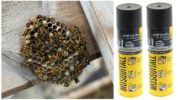 Mosquitall aerosol mula sa mga wasps at wasp nests