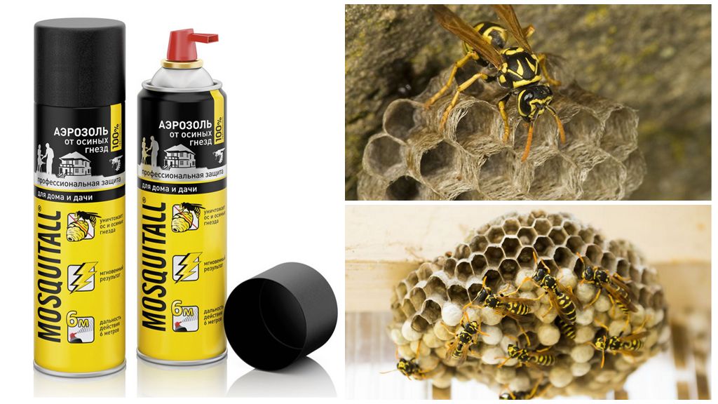 Mosquitall-aerosoli ampiaisista ja ampiaispesistä
