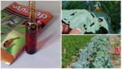 Het gebruik van de drug Alatar