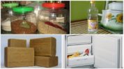 Insecten bestrijden in de keuken