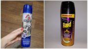 Aerosol di insetti