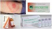 Antibiòtics per la borreliosi