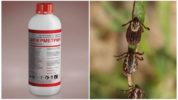 Cypermethrin fra flåter