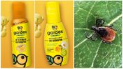 Gardeks mazulis no ērcēm