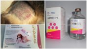 Mga Pamamaraan sa Mga Control na Scabies Mite