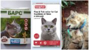 Kraver til katte fra flåter