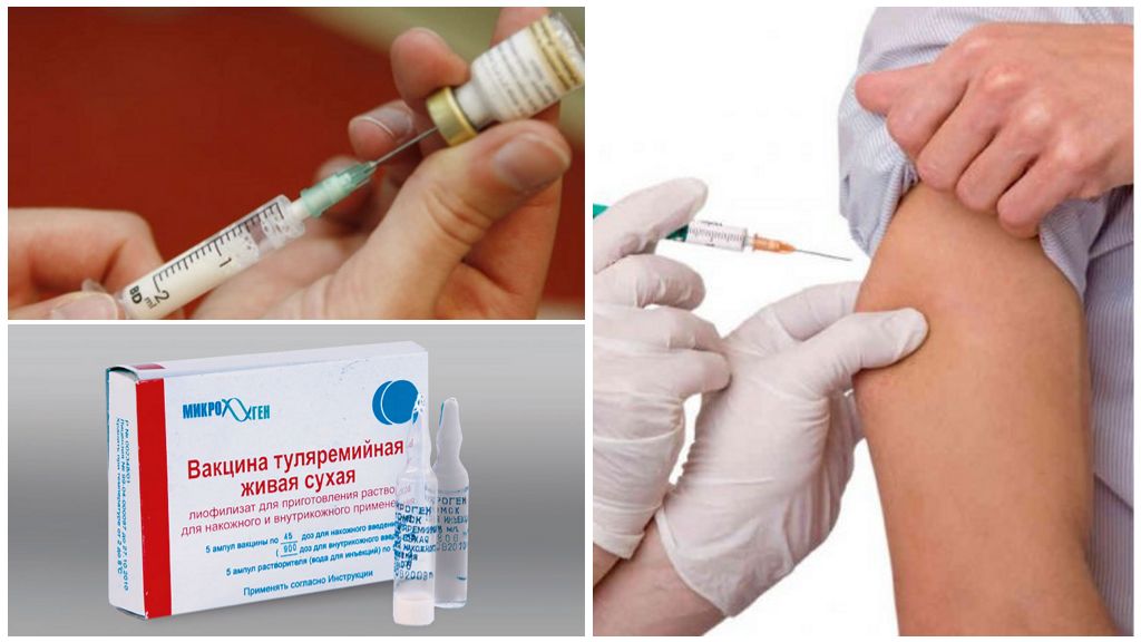 Tularemia-vaccin