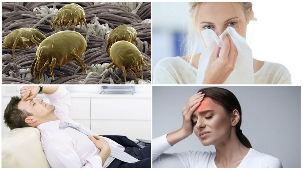 Paano mapupuksa ang mga ticks sa isang apartment o bahay