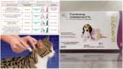 Bolwerkdruppels voor katten en honden