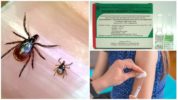 Vacuna contra l’encefalitis