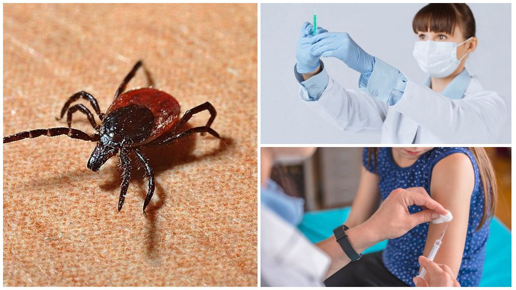 Door teken overgedragen encefalitisvaccin in Moskou