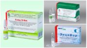 Encefalitis vaccins