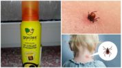 Mite Gardex bērnu aerosols