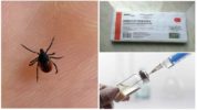 Kene ısırığı ile immünoglobulin