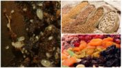 Alimento di una zecca di farina