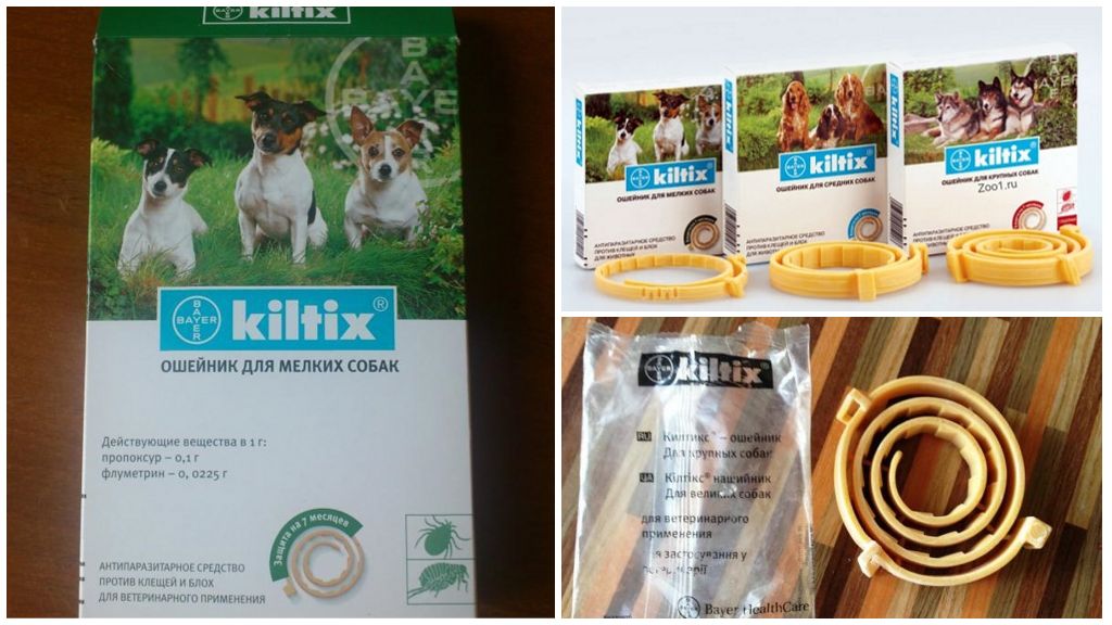 Kiltiks kaklasiksna suņiem no blusām un ērcēm