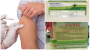 Vaccinbåret encephalitis-vaccination