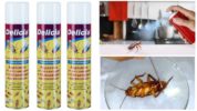 Aerosol mula sa ipis Delicia